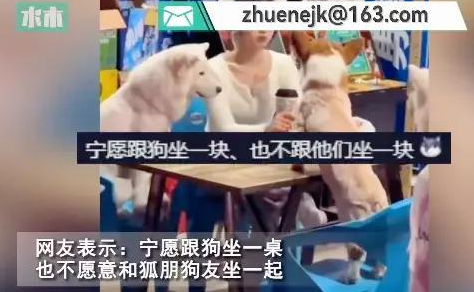 女生不喝酒被安排和狗坐一桌,无可奈何喂狗烤串,爆笑