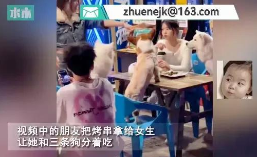 女生不喝酒被安排和狗坐一桌,无可奈何喂狗烤串,爆笑