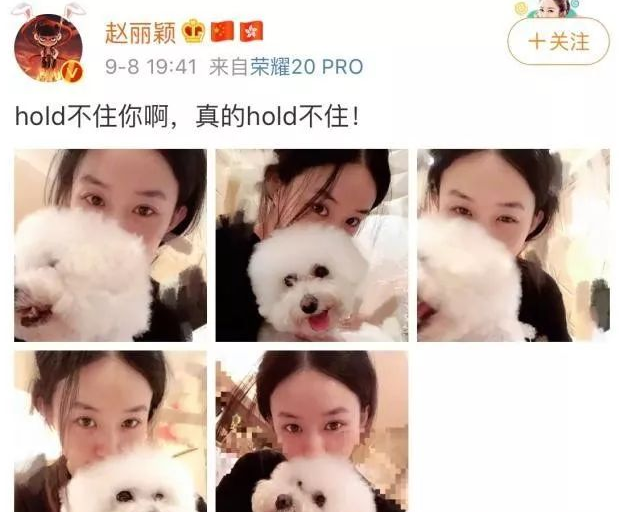 赵丽颖晒晒1组与狗狗的自拍图，怀里家犬裸妆出境超美！