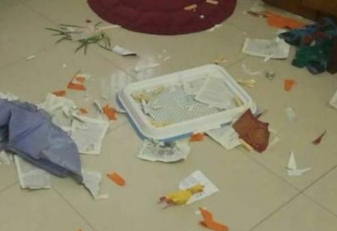 了解我很喜欢小狗，好闺蜜送过来一只金毛，觉得它是重要人的节奏感