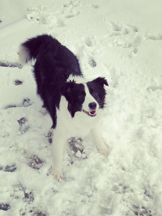 人生第一场雪️麻麻真好，带我玩雪咯看我飞奔起来