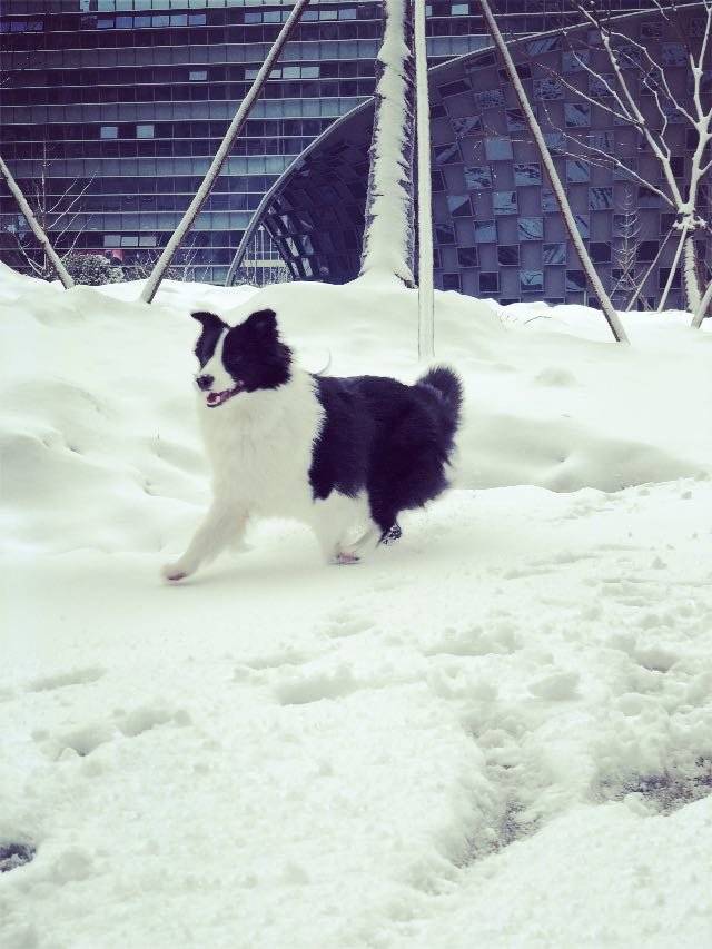 人生第一场雪️麻麻真好，带我玩雪咯看我飞奔起来