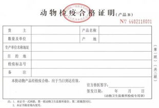 宠物健康证明在哪里办理，宠物健康证明在哪里办理手续