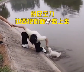 小狗掉入冰冷河中,主人撕心裂肺的呐喊着,而有人却这样讽刺她…