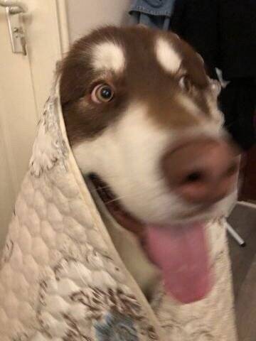 皮这一下有意义吗哈哈
