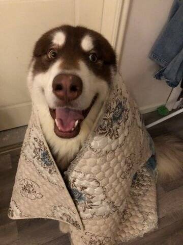 皮这一下有意义吗哈哈