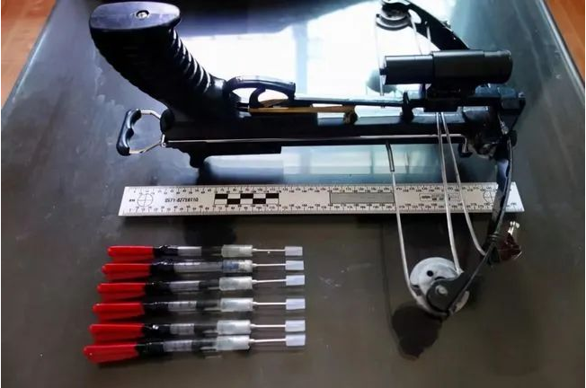 偷狗用的毒针有多毒？哥哥偷狗过程中毒针误伤弟弟，弟弟中毒而亡