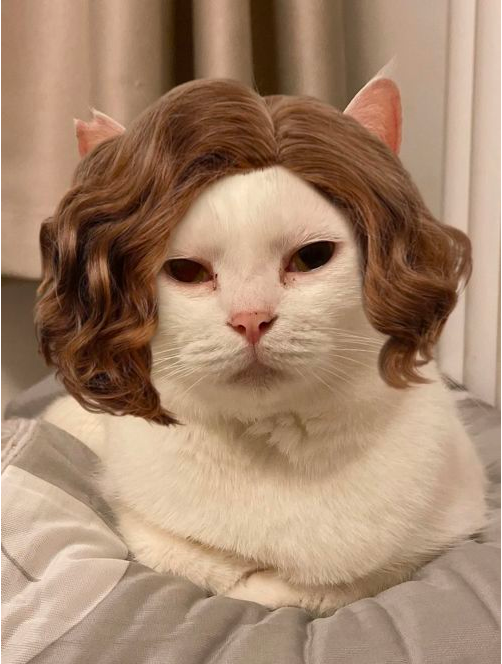 有人逃出医院，有人冲进灾区……只因为家里的猫狗