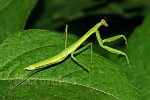 get_img-9