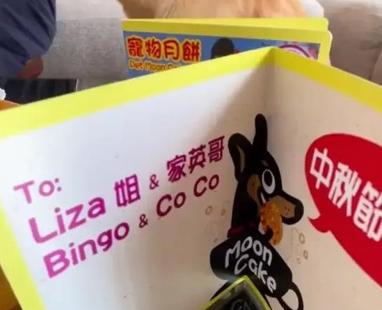 汪明荃和罗家英月饼收多了，竟拿出来喂狗了？