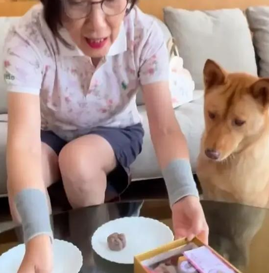 汪明荃和罗家英月饼收多了，竟拿出来喂狗了？