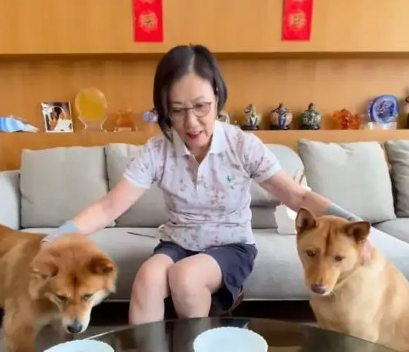 汪明荃和罗家英月饼收多了，竟拿出来喂狗了？