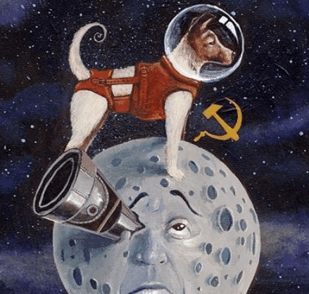 上世纪苏联将1只流浪狗送上太空，时隔63年，至今仍漂浮在太空中