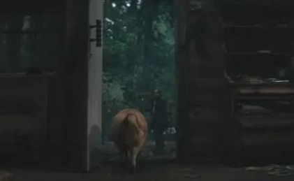 一条狗让基努疯狂，一头猪让凯奇悲伤