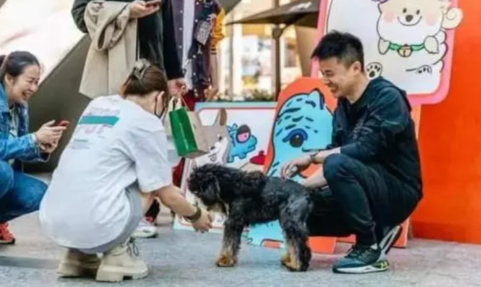 普陀这的首届宠物嘉年华开幕，市民携猫带狗来打卡