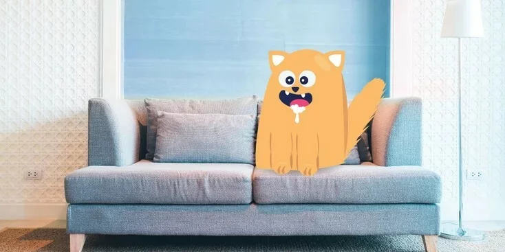 猫狂犬病：病因、症状和治疗