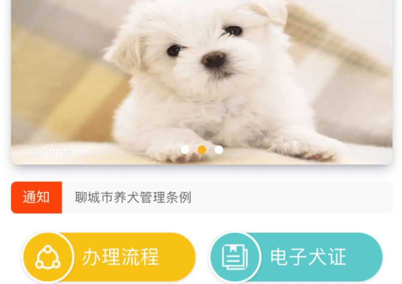 聊城上线 “电子犬证”，开始对养犬进行信息化管理