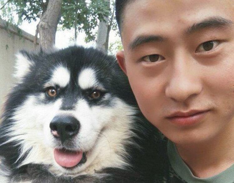二哈摇身一变化身为军犬，狗生做到巅峰之战
