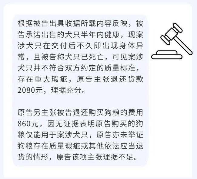 购买的宠物狗只存活了四天,商家却拒绝退款……