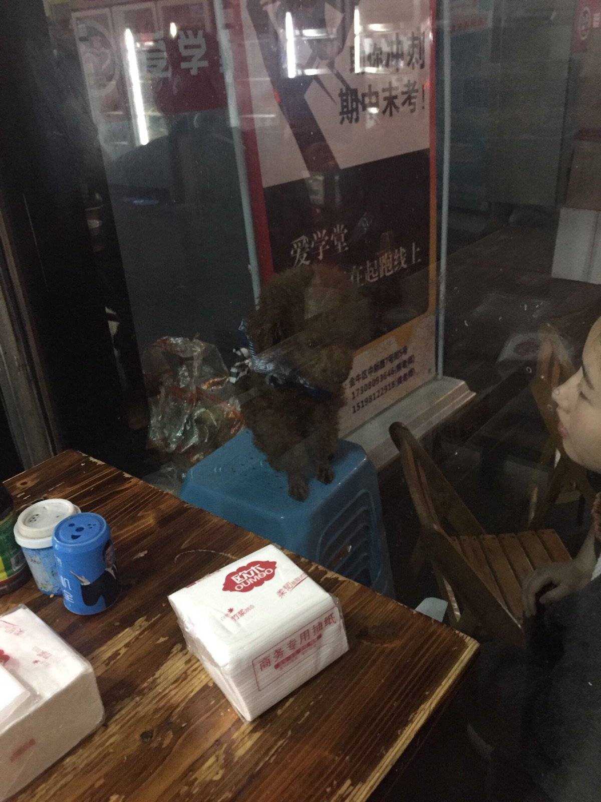 你妈好不容易出来撸个串，你还不安分乱跑。我还治不了你咯！