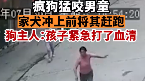 疯狗扑咬幼童，家犬冲上前将其赶跑，犬主：养了7年很有灵性