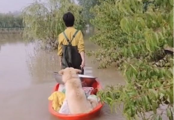 村子水淹了，女子顶风冒雨回家接狗狗，这一幕太令人动容了！