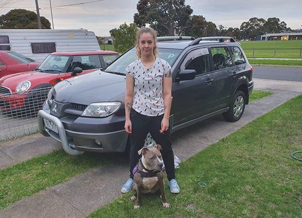 被比特犬持续拨拉,主人疑虑中叫了救护车,意外事故捡回来一条命