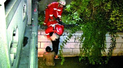 70斤边境牧羊犬落水主人下水托举两小时 消防：边牧会水