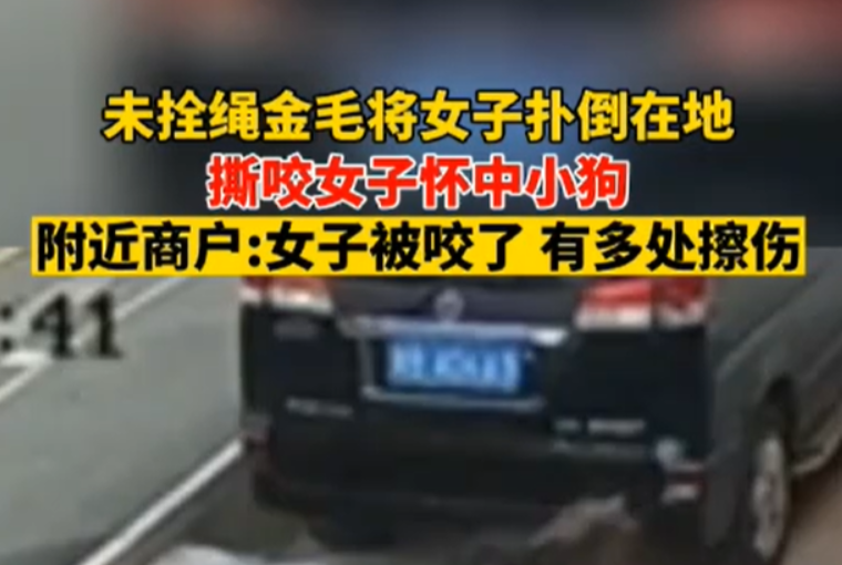 金毛扑倒女子事件双方已和解：达成赔偿协议，小狗在治疗中