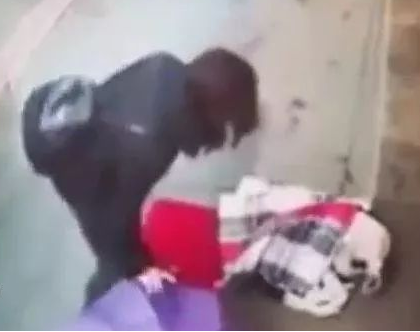 狗狗冷得蜷缩街边，善解人意女子把自身的围脖赠给狗狗防寒保暖，暖化了