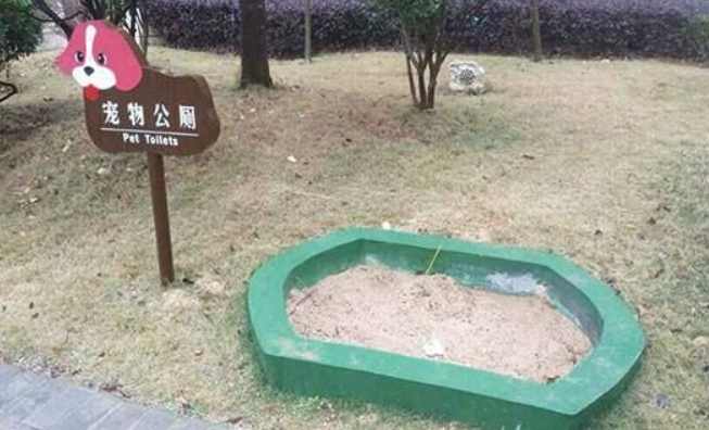 小区为宠物建公厕 网友：再也不担心“狗屎运”