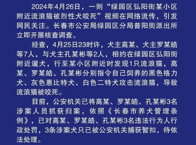 流浪猫被烈性犬咬死,长春警方通报:3名犬主被处罚!