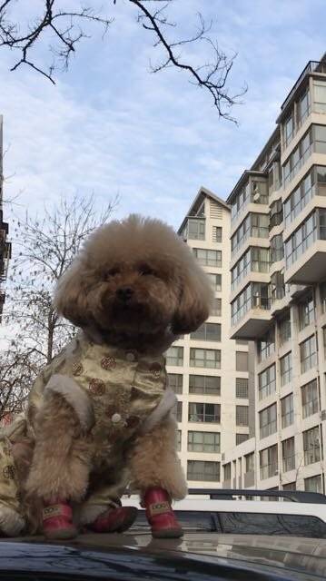 今天的风，怡人，今天的阳光，暖人～今天是惊蛰，春回大地，万物萌动。春回大地！是爱，是暖，是希望