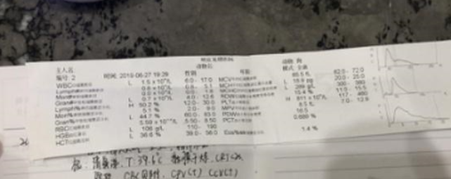 扎心！1500元买了只“星期狗” 宠物店：只换不退