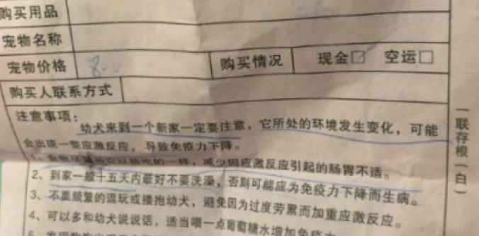 扎心！1500元买了只“星期狗” 宠物店：只换不退