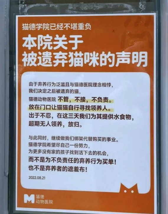 爱心网红靠流浪狗得百万打赏，猫德学院濒临破产，宠物经济真奇怪