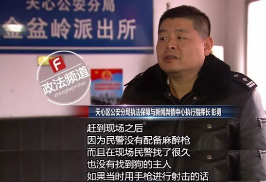 长沙芙蓉路咬人金毛被民警用木棒打死虐狗事件，官方辟谣事件全过程