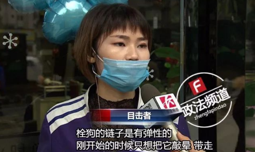 长沙芙蓉路咬人金毛被民警用木棒打死虐狗事件，官方辟谣事件全过程