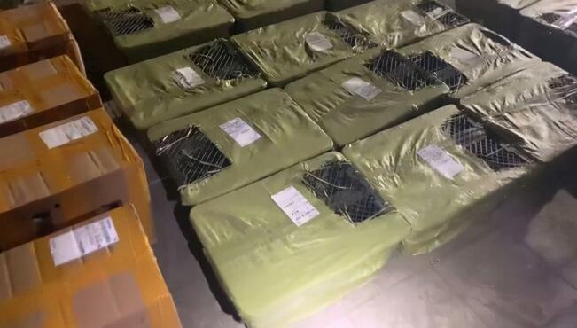 痛心！百余只宠物盲盒被遗弃街头，有猫有狗都在惨叫！
