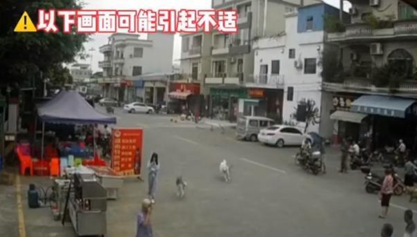 “佛山女孩遛狗拖倒老人后逃跑”事件，后续来了：老人已丧生