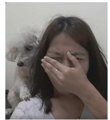 主人装作在狗狗面前伤心哭泣，狗狗做出的反应却让主人真暖哭