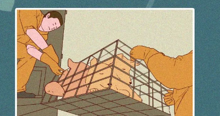 中国人，你凭什么看不起中国土狗？