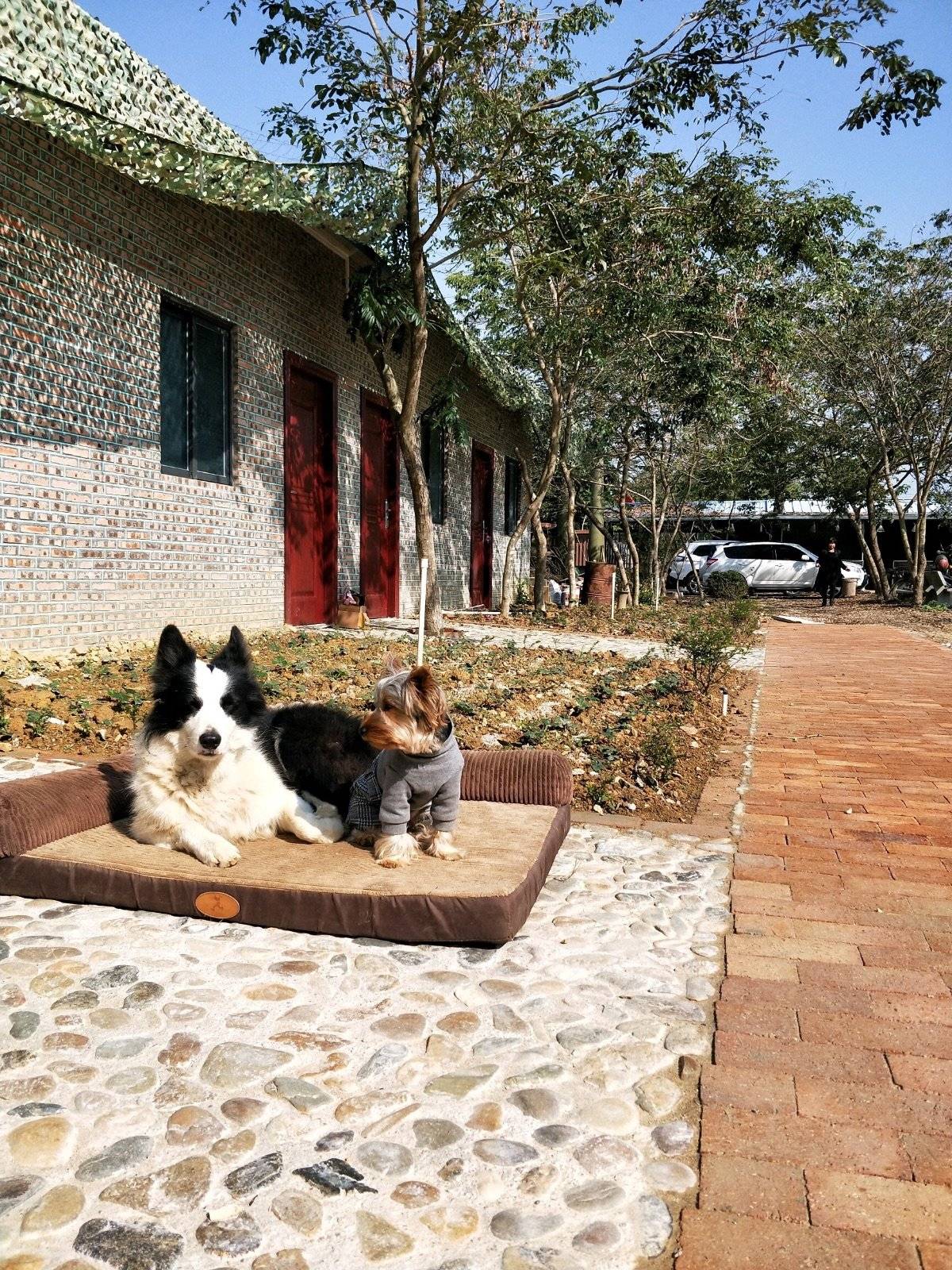 这次我随家人的旅行地是惠州~好友的青柠檬果园小时候至今我都来过几回了，每次都玩的很嗨...在大自然阳光下畅想~ 有家人陪伴的旅行是狗生最幸福，最开心，最向往，最有意义的事。