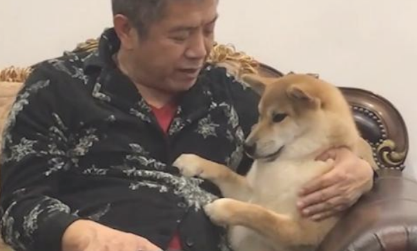 据说哈士奇不坦白？祖父坚决“联合行动”，小狗被管得服服帖帖