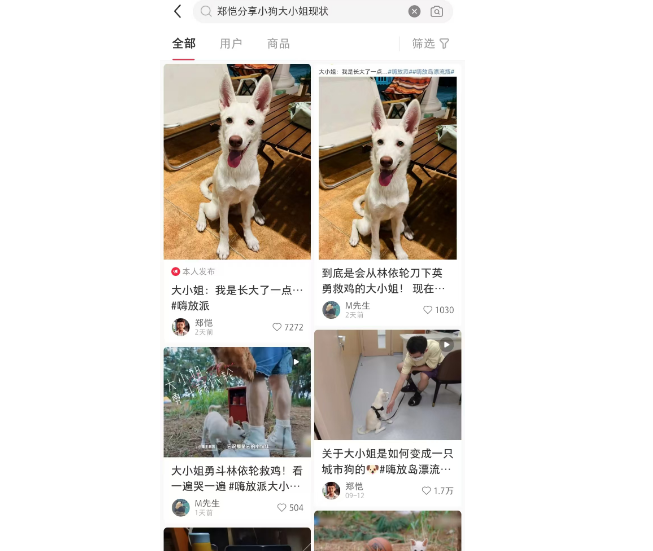 郑恺分享小狗大小姐现状，前后差别太大…