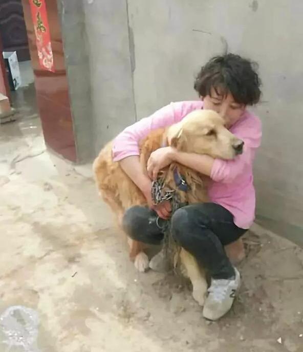 狗狗被拴在公园的凉亭等了3天