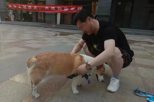 牵紧“文明绳”做文明养犬人
