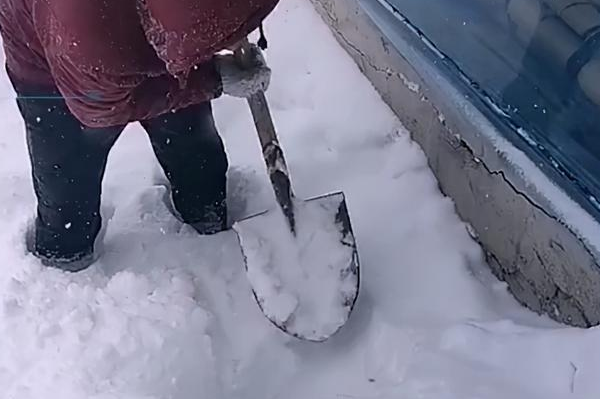 狗在盆在！狗窝被埋，主人铲雪瞬间被逗乐