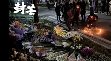 遛狗不牵绳闹出人命，“凶手”哪去了？后续出乎所有人意料