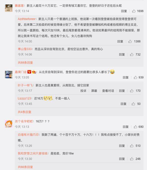 卖身还债的柴犬登登被新主人接走，新主人：我只是一个想把登登带回家的普通人